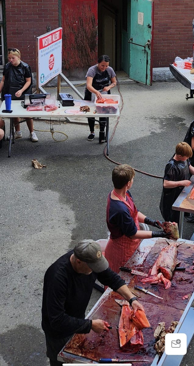 Nikki Fraser processing salmon