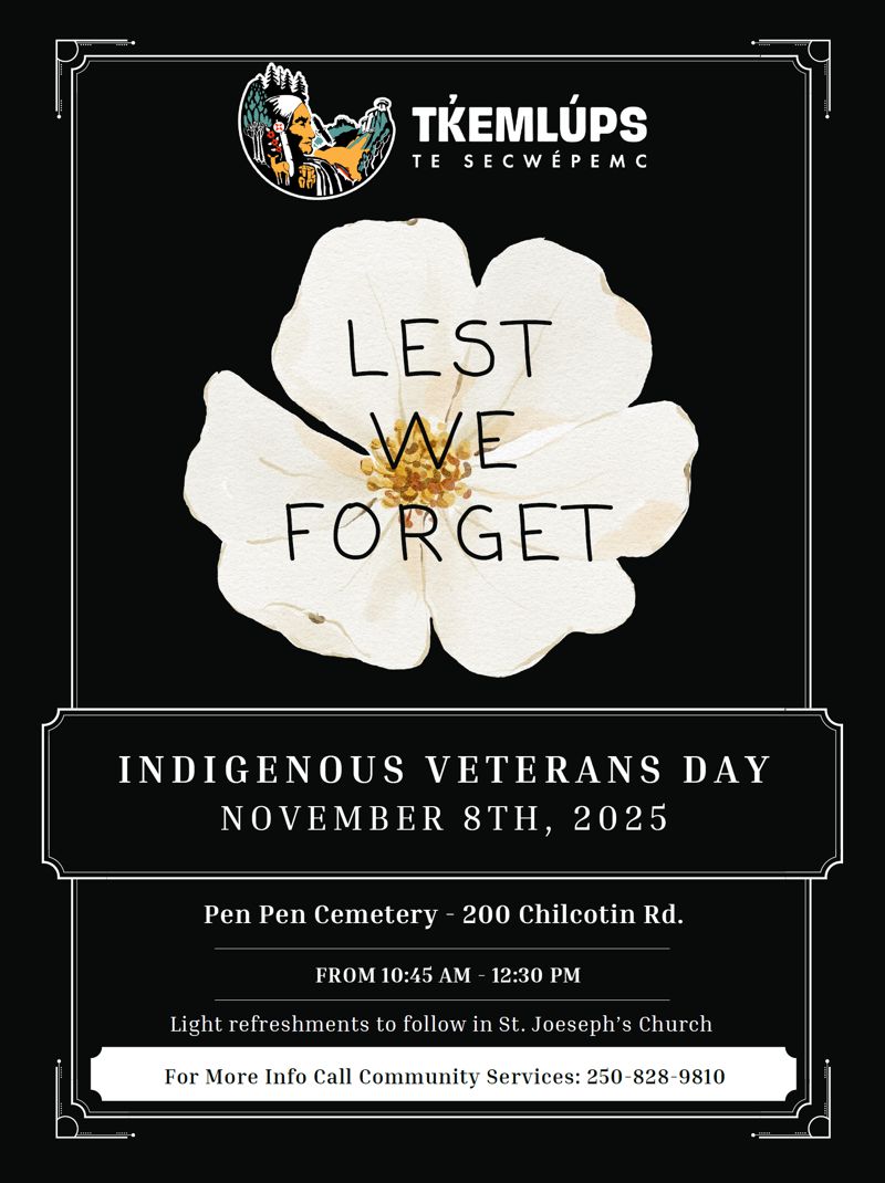 poster veterans day nov 8
